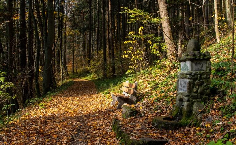 V každom ročnom období je prechádzka Gróbňovým chodníkom príjemný relax